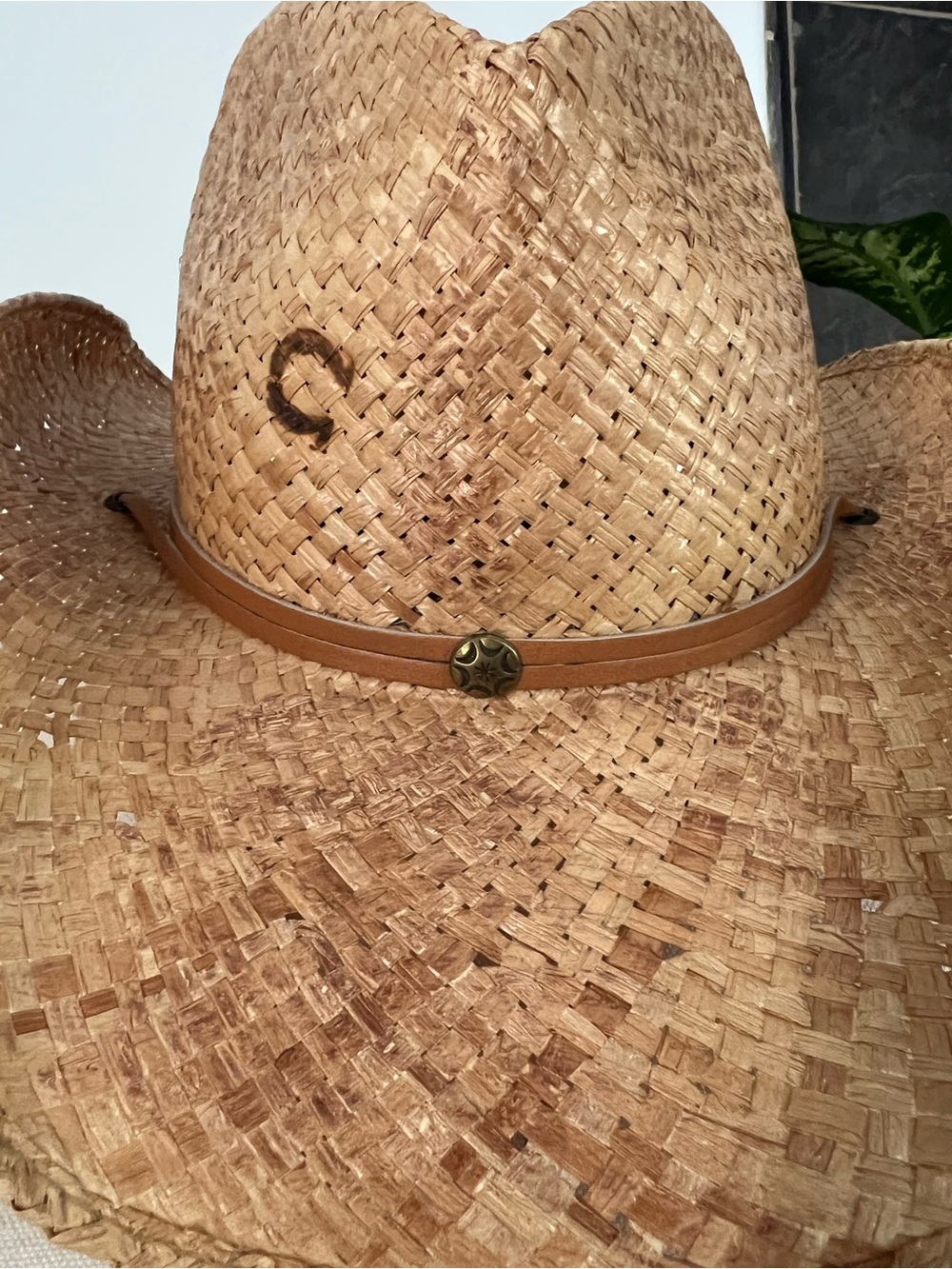 Charlie 1 Horse Straw Cowboy Western Hat - Picture 2 of 12